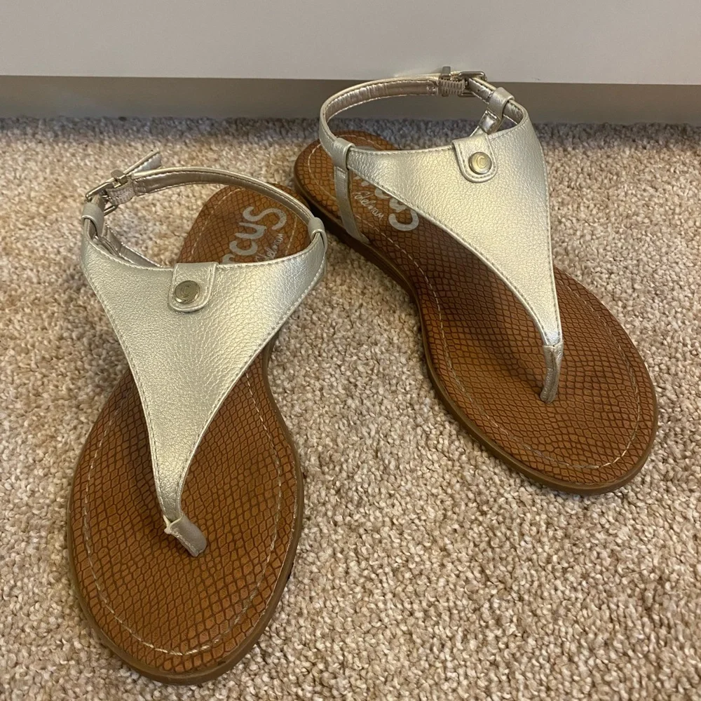 Circus by Sam Edelman Carolina Silver and Brown Sandals